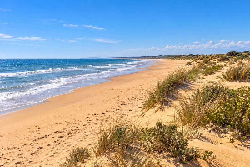 Imagen ilustrativa de la playa de Nueva Umbría, en Lepe (Huelva), con una extensa franja de arena dorada, dunas naturales y vistas al océano Atlántico.