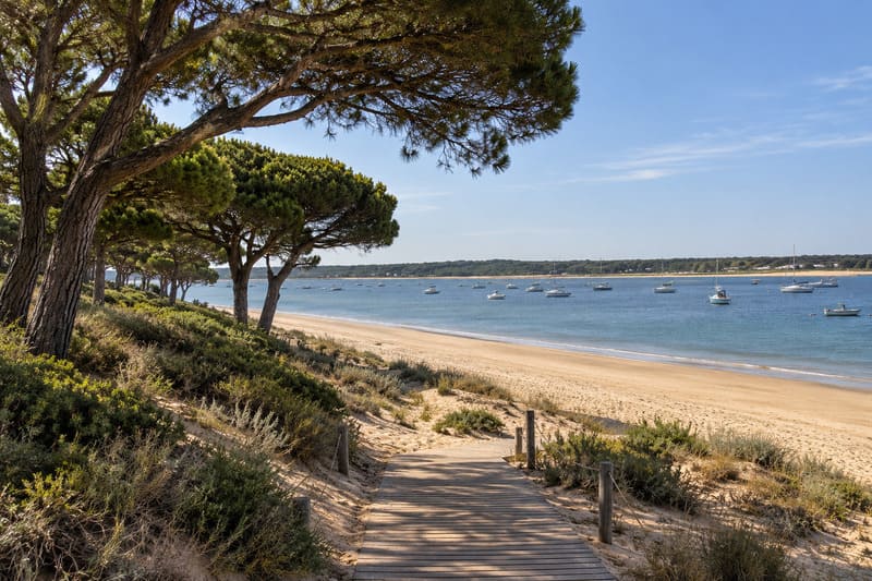 Imagen ilustrativa de la playa de San Miguel en Cartaya, Huelva, con pinares junto a la arena, una pasarela de madera y pequeñas embarcaciones en el agua.